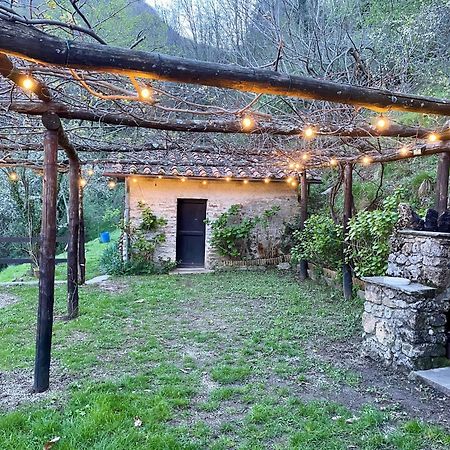 Il Frutteto Natura A Relax Stazzema Exterior photo
