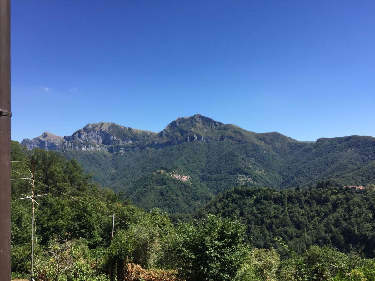 Il Frutteto Natura A Relax Stazzema Exterior photo