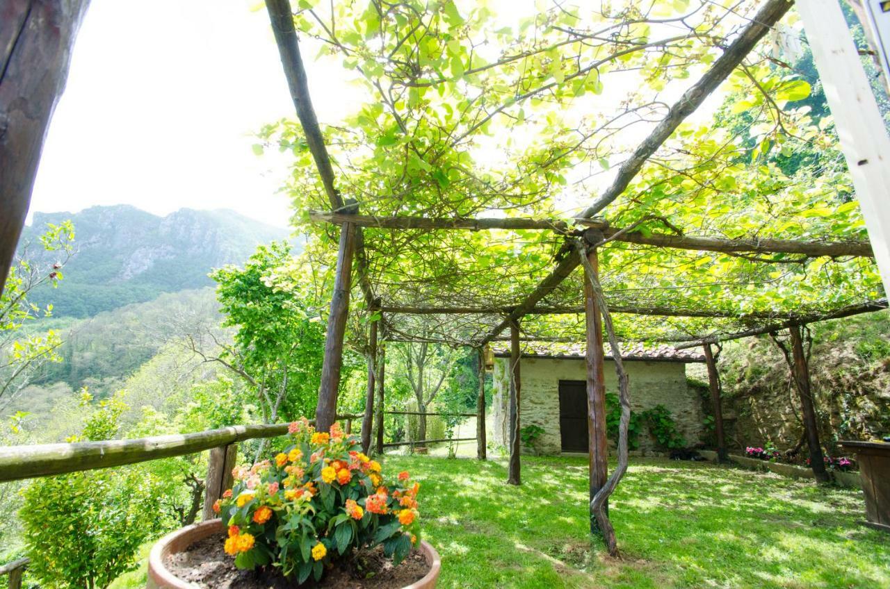 Il Frutteto Natura A Relax Stazzema Exterior photo