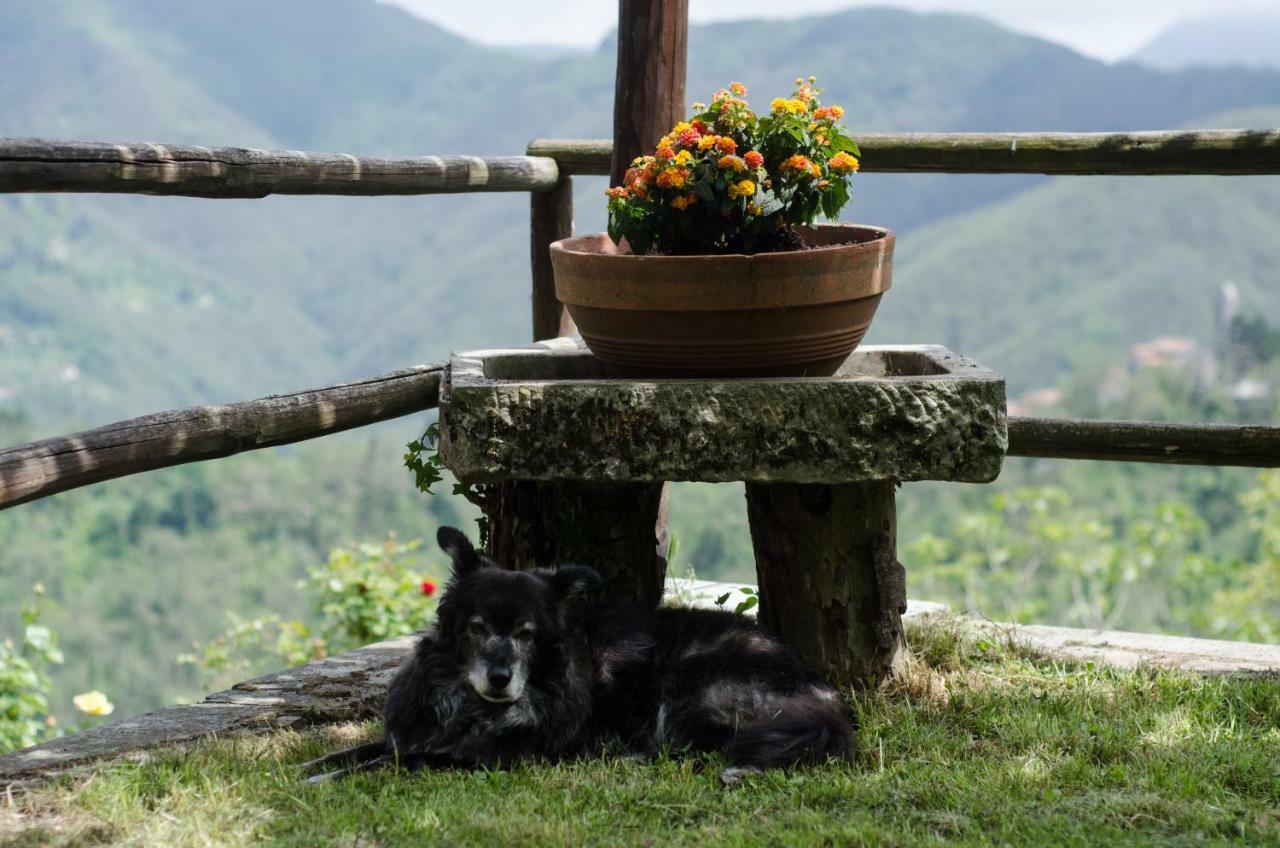 Il Frutteto Natura A Relax Villa Stazzema Exterior photo